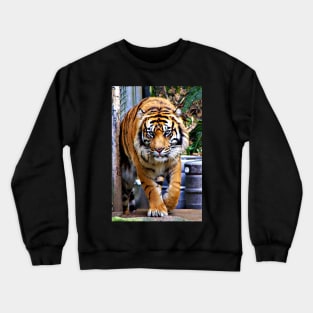 Siberian Tiger Crewneck Sweatshirt